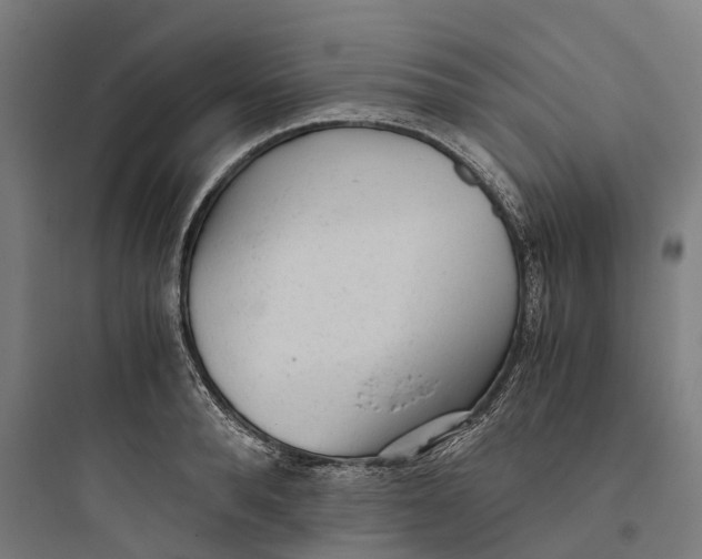 X0000093770896200711061131