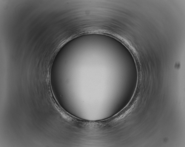 X0000093770897200711061131