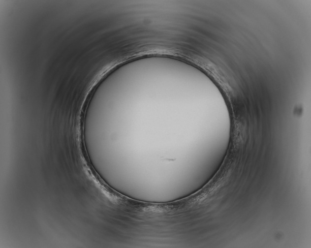 X0000093770898200711061131