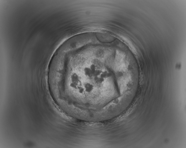 X0000093770899200711061131