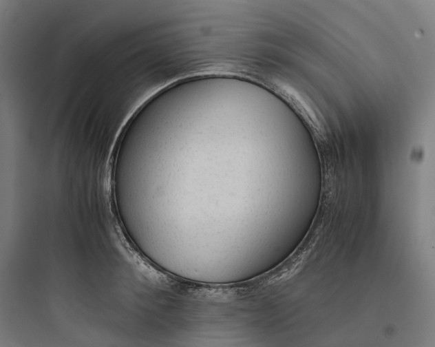 X0000093770900200711061131