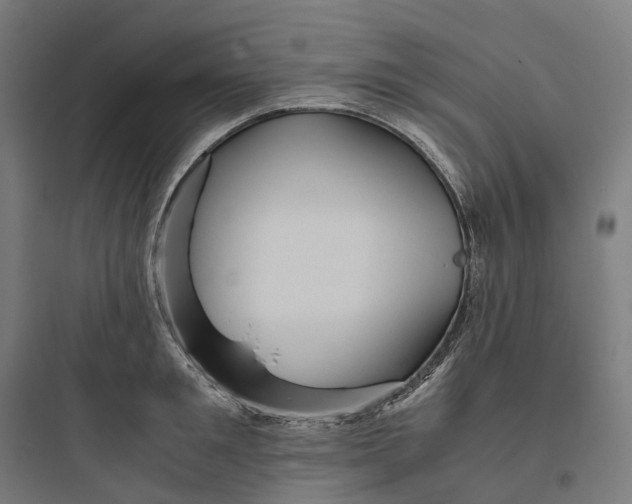 X0000093770901200711061131