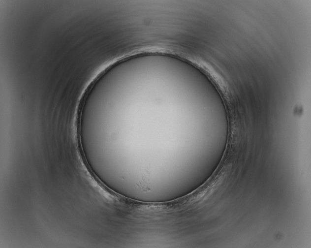 X0000093770902200711061131