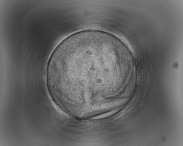 X0000093770903200711061131