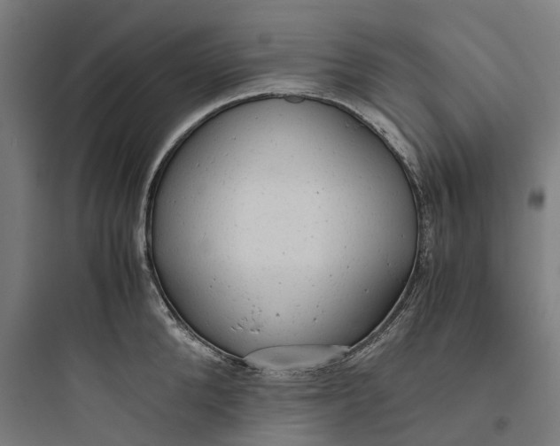 X0000093770904200711061131