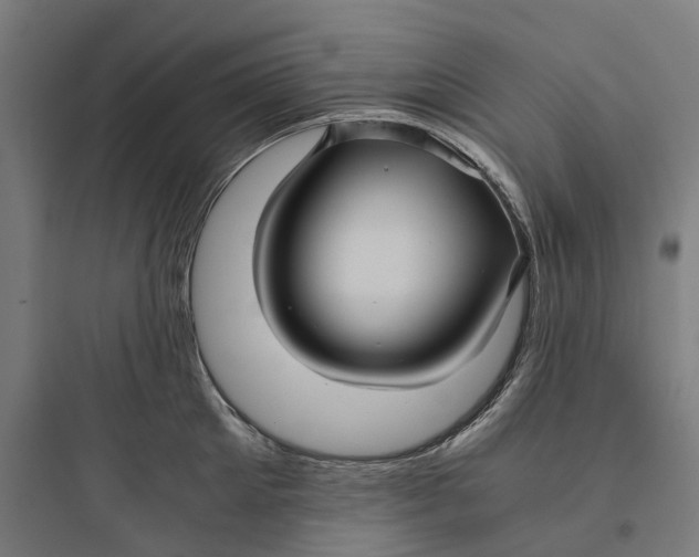 X0000093770905200711061131