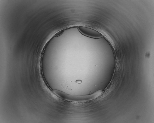 X0000093770906200711061131