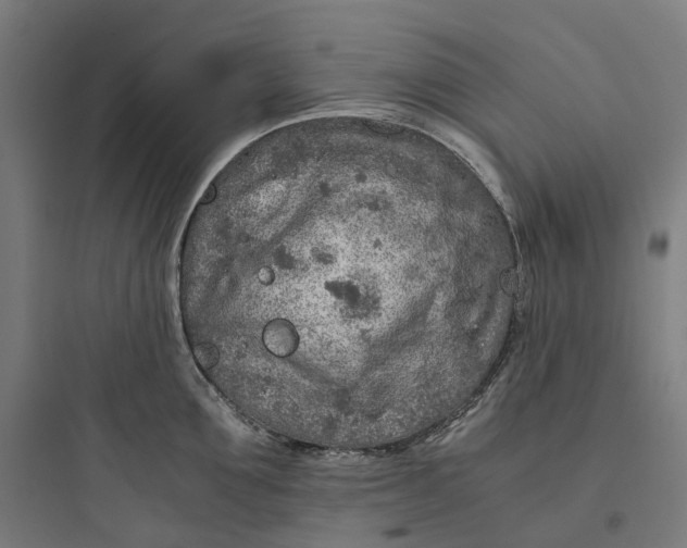 X0000093770907200711061131