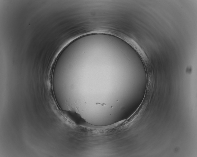 X0000093770908200711061131