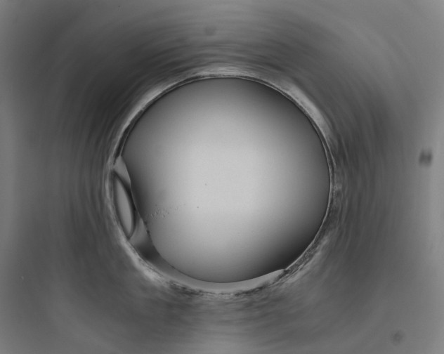 X0000093770909200711061131