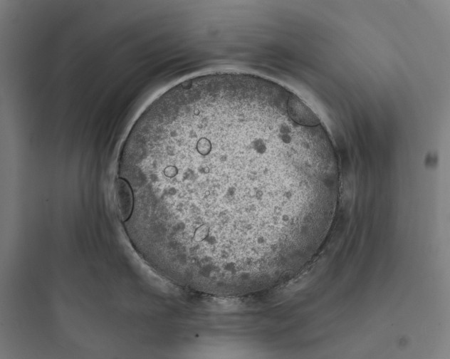 X0000093770911200711061131