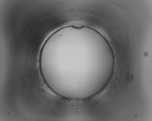 X0000093770912200711061131