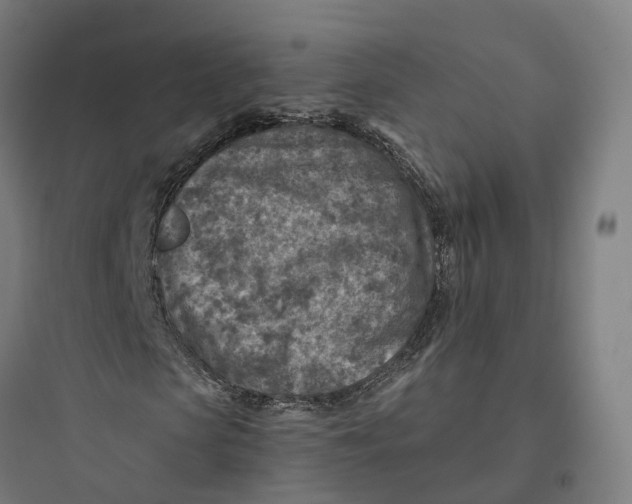 X0000093770913200711061131