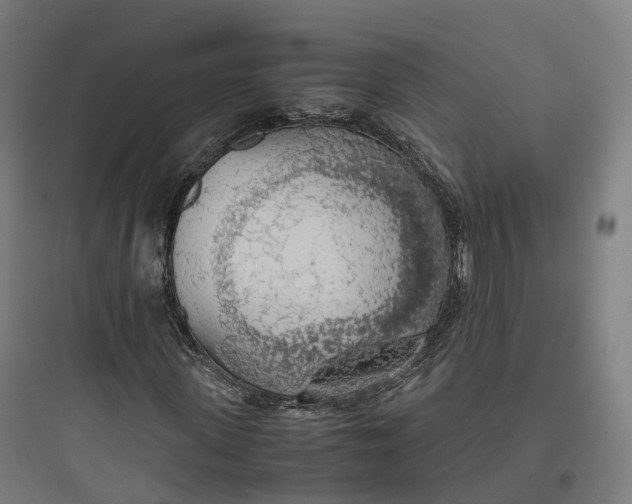 X0000093770915200711061131