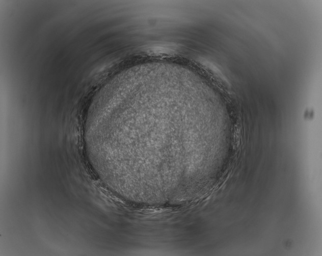 X0000093770917200711061131