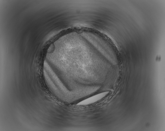 X0000093770919200711061131