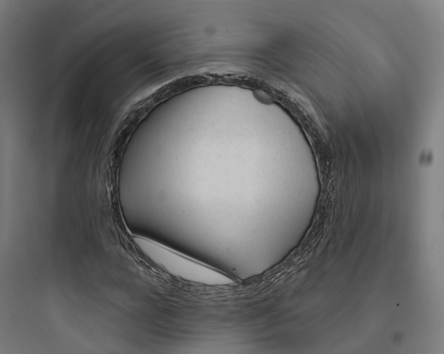 X0000093770920200711061131