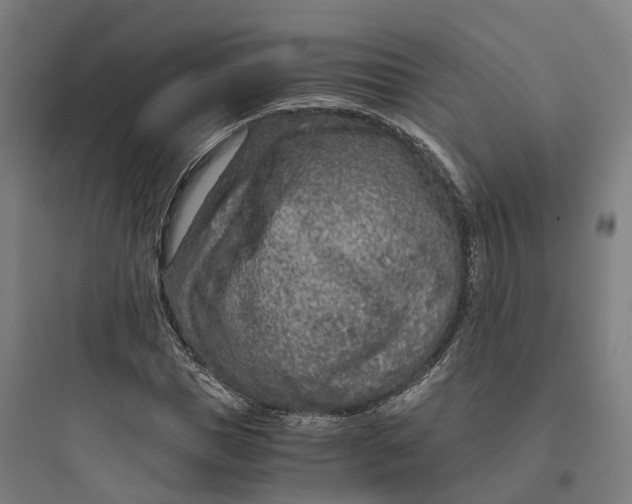 X0000093770921200711061131