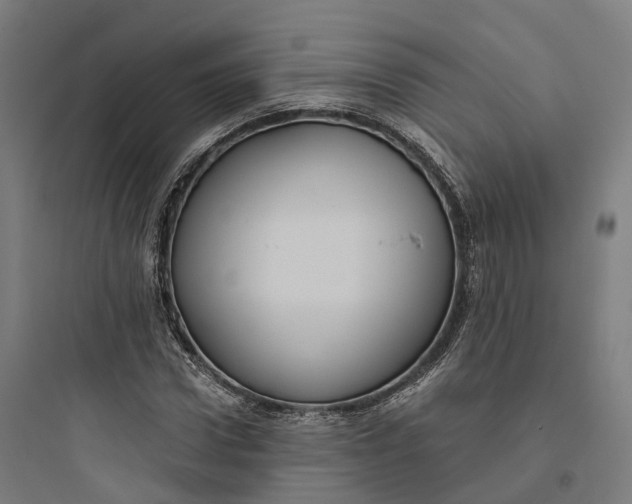 X0000093770922200711061131