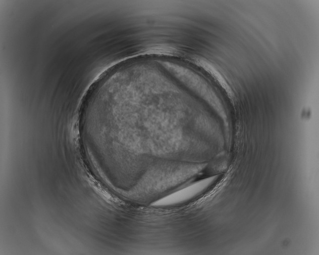 X0000093770923200711061131