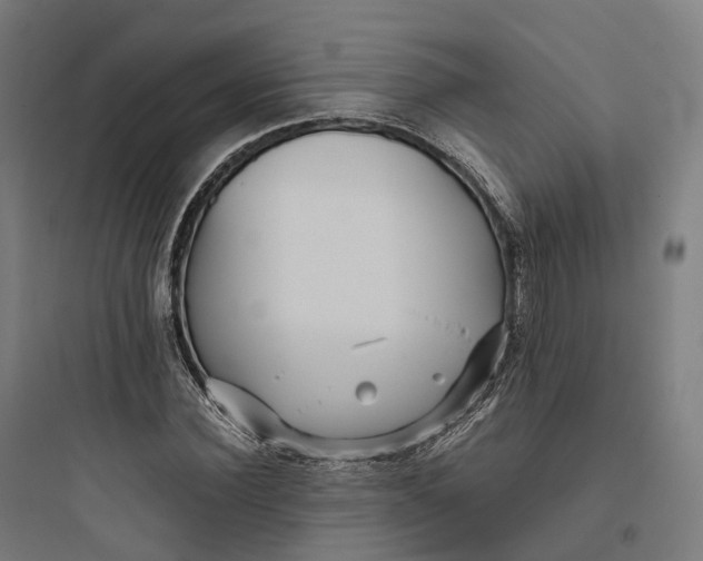 X0000093770924200711061131