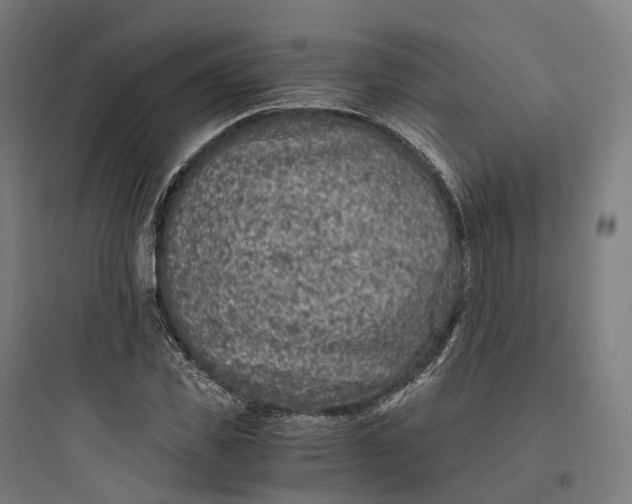 X0000093770925200711061131