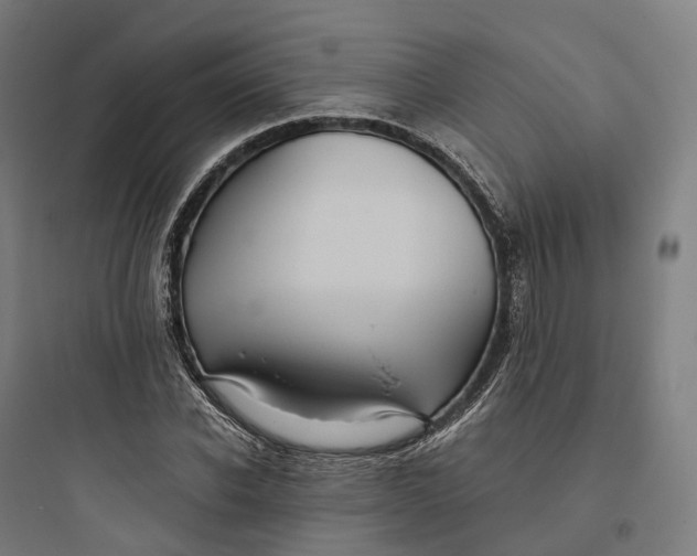 X0000093770926200711061131