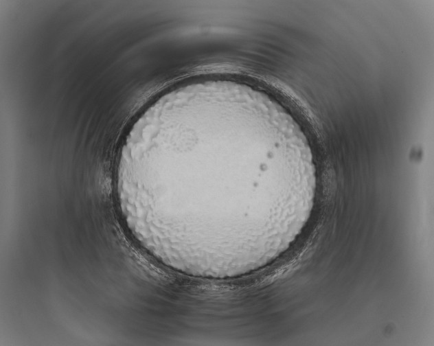 X0000093770929200711061131