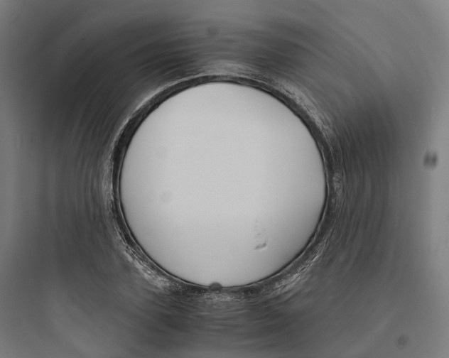 X0000093770931200711061131