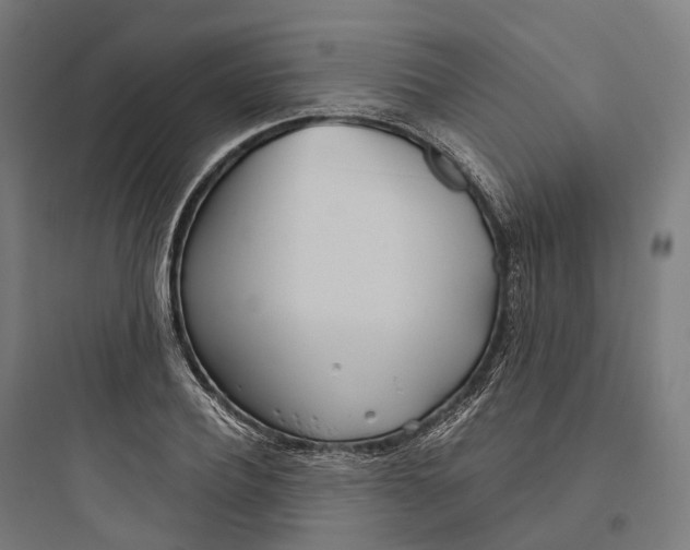 X0000093770932200711061131