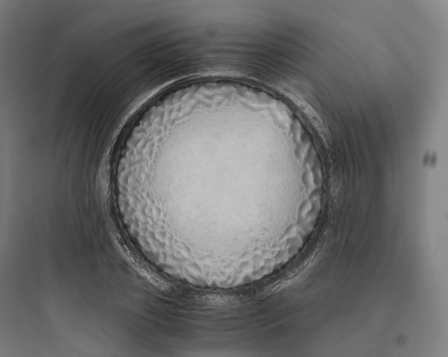 X0000093770933200711061131