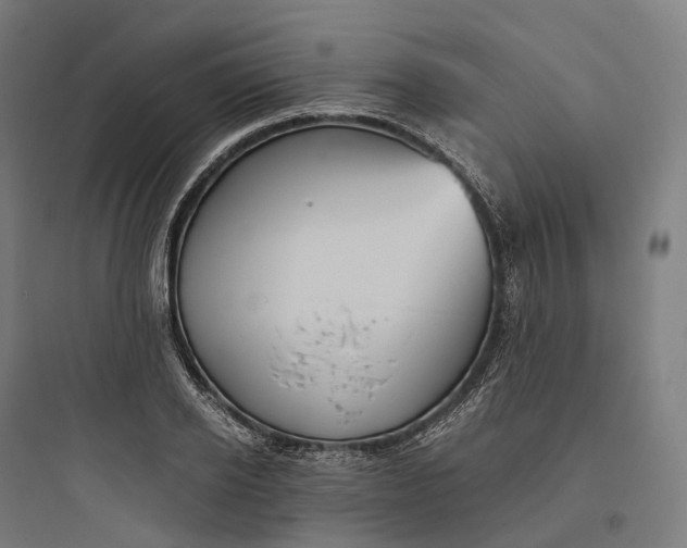 X0000093770934200711061131