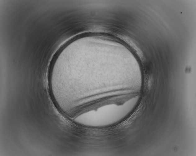 X0000093770935200711061131