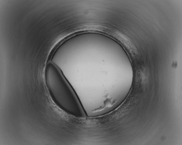 X0000093770936200711061131