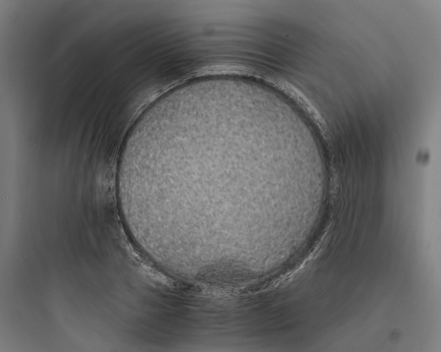 X0000093770937200711061131