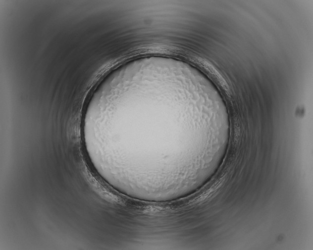 X0000093770938200711061131