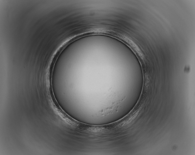 X0000093770939200711061131