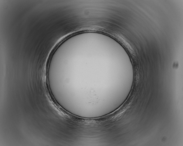 X0000093770940200711061131