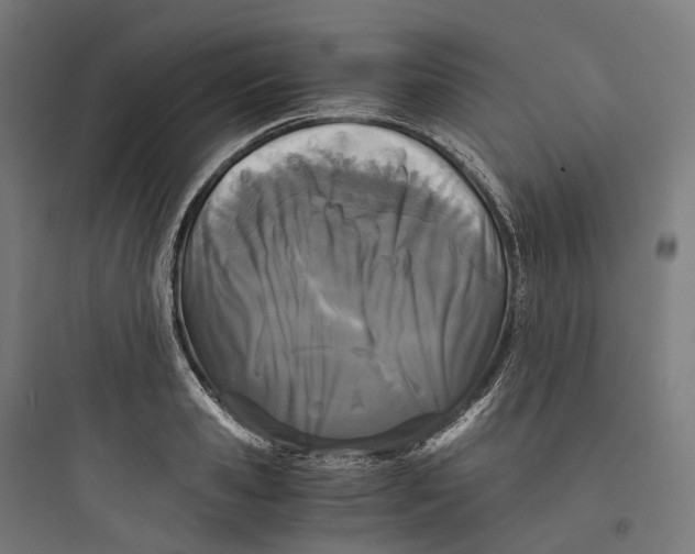 X0000093770941200711061131