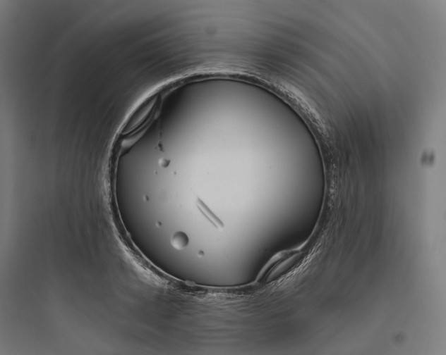 X0000093770942200711061131