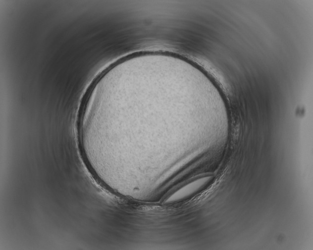 X0000093770943200711061131