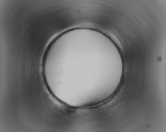 X0000093770944200711061131