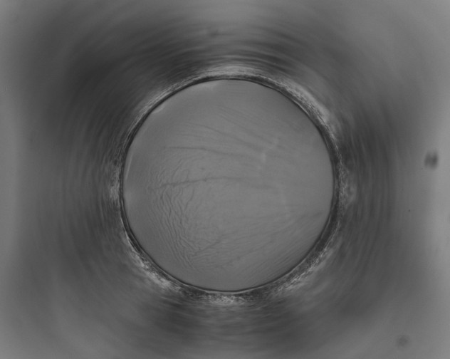 X0000093770945200711061131