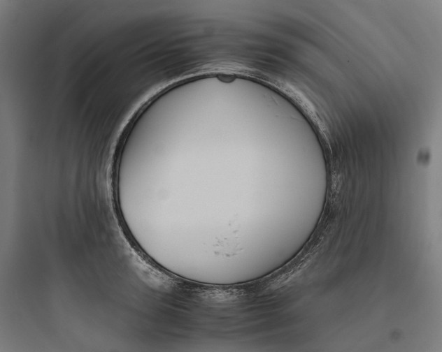 X0000093770947200711061131