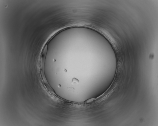 X0000093770948200711061131