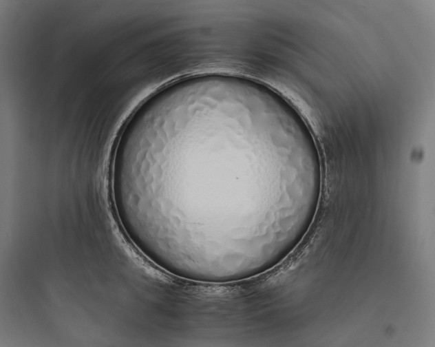 X0000093770949200711061131