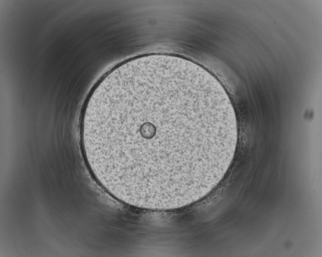 X0000093770950200711061131