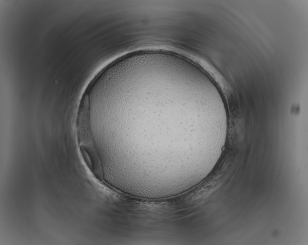 X0000093770951200711061131