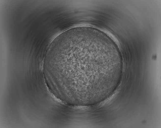 X0000093770953200711061131