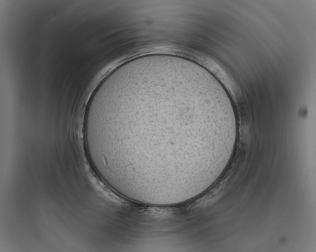 X0000093770954200711061131